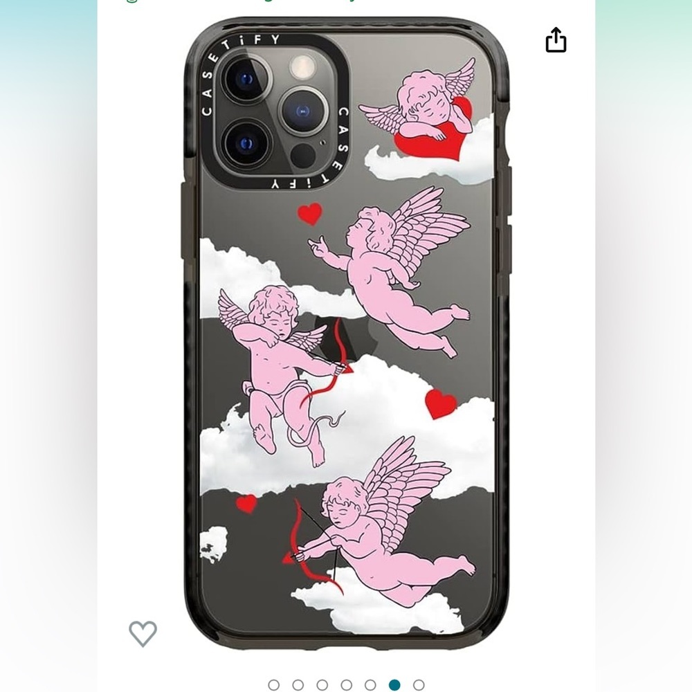 Casetify 12/12 Pro Case